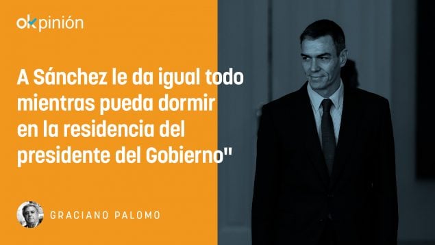 Opinión Palomo Sánchez