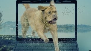 Imperativo en segunda persona del verbo salir y el pronombre le en castellano, verbo salle según la RAE, palabra que podemos decir en español pero no escribir, palabra imposible de escribir según la RAE.