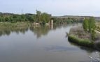 Río Tajo, naturaleza, medio ambiente