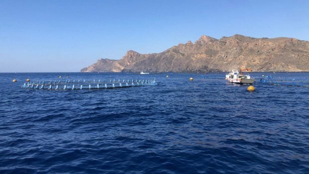 Acuicultura Cartagena