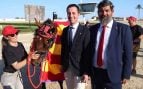 Mallorca hipódromo, Consell hipódromo
