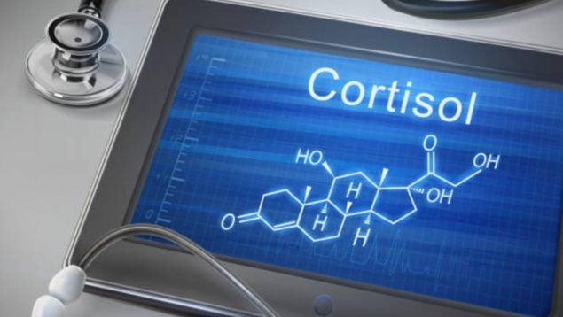 cortisol