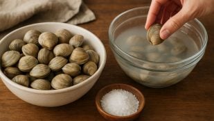 Almejas, truco, curiosidades