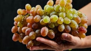 Uvas, truco, truco de cocina