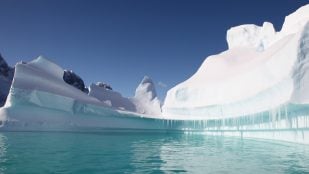 Químicos eternos en la Antártida, cambio climático en la Antártida, científicos españoles critican la contaminación en la Antártida.