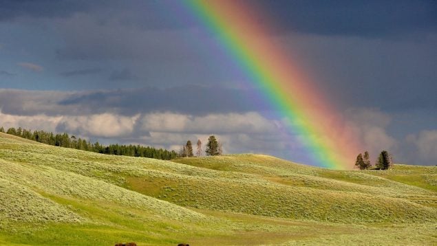 Cómo se dice en español arcoíris o arco iris según la RAE, arcoíris todo junto o separado en la RAE, por qué arcoíris lleva tilde.