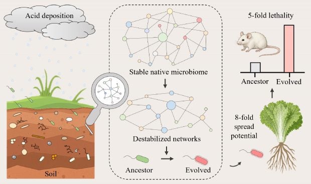 Efecto lluvia ácida