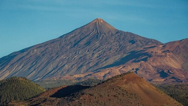 Árbol, Tenerife, Islas Canarias