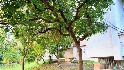 Parque de la Victoria de Jaén donde se hallaron muertas a dos jóvenes este fin de semana.