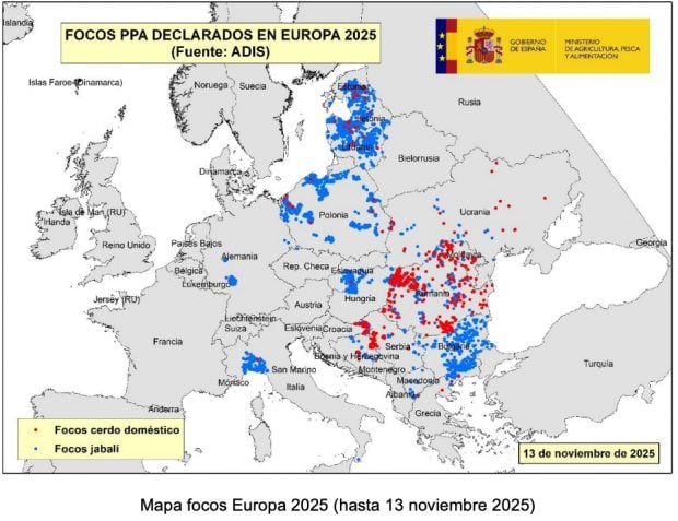 Mapa peste porcina Europa 2025