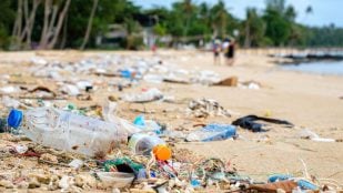 Desechos plásticos contaminando una playa.
