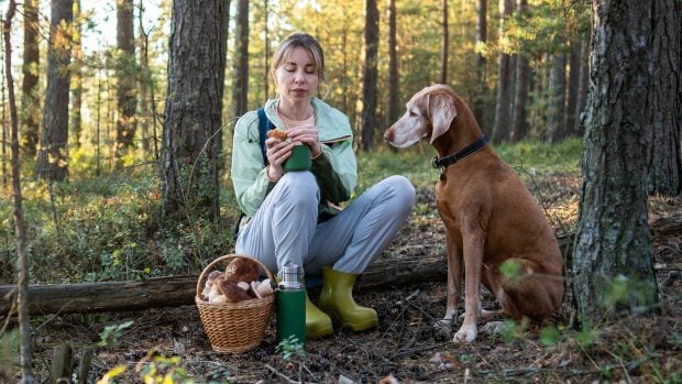 recogiendo setas con perro