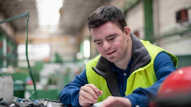 Fundación Sesé impulsa la inclusión laboral en el Día Internacional de las Personas con Discapacidad