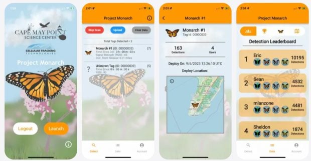 Aplicación mariposas monarca