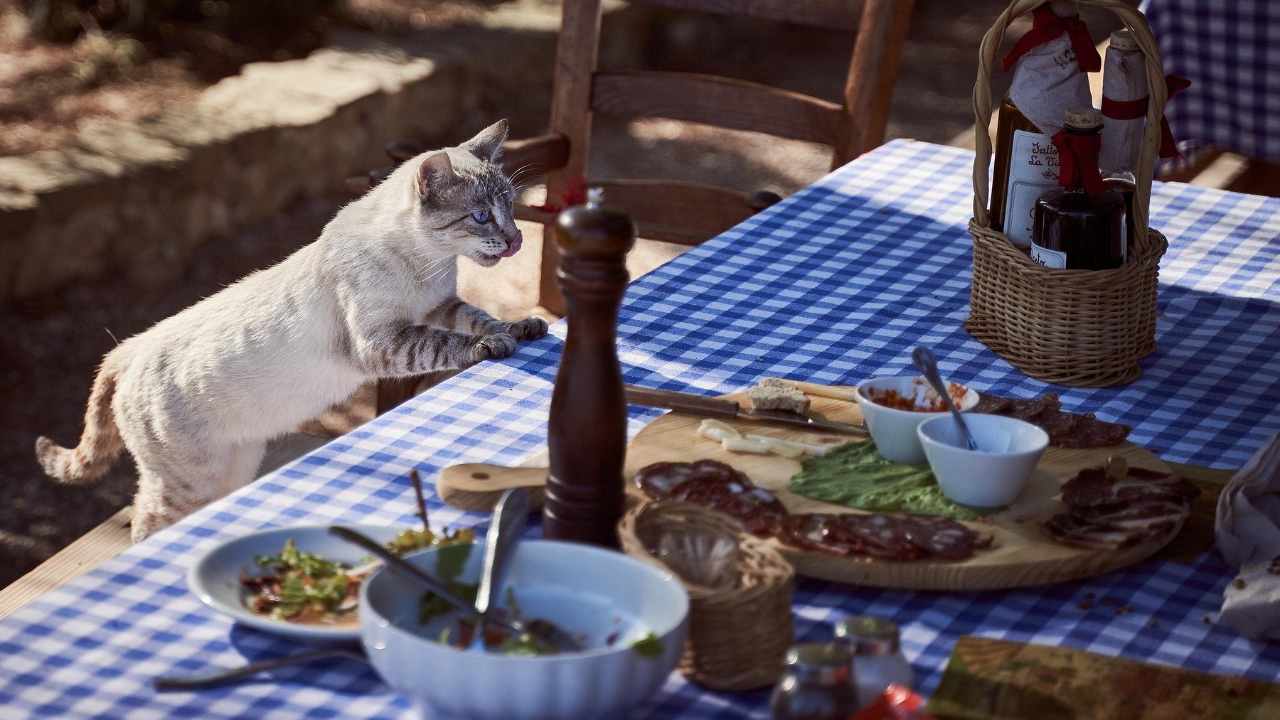 El refrán que se oía en todas las casas durante la posguerra española: hoy ya sólo aparece en las enciclopedias