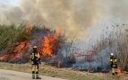 Cortafuegos en la zona de Mallorca con más incendios forestales en invierno