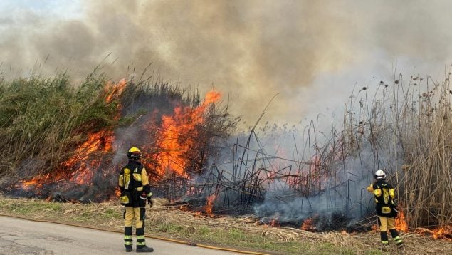 Cortafuegos en la zona de Mallorca con más incendios forestales en invierno