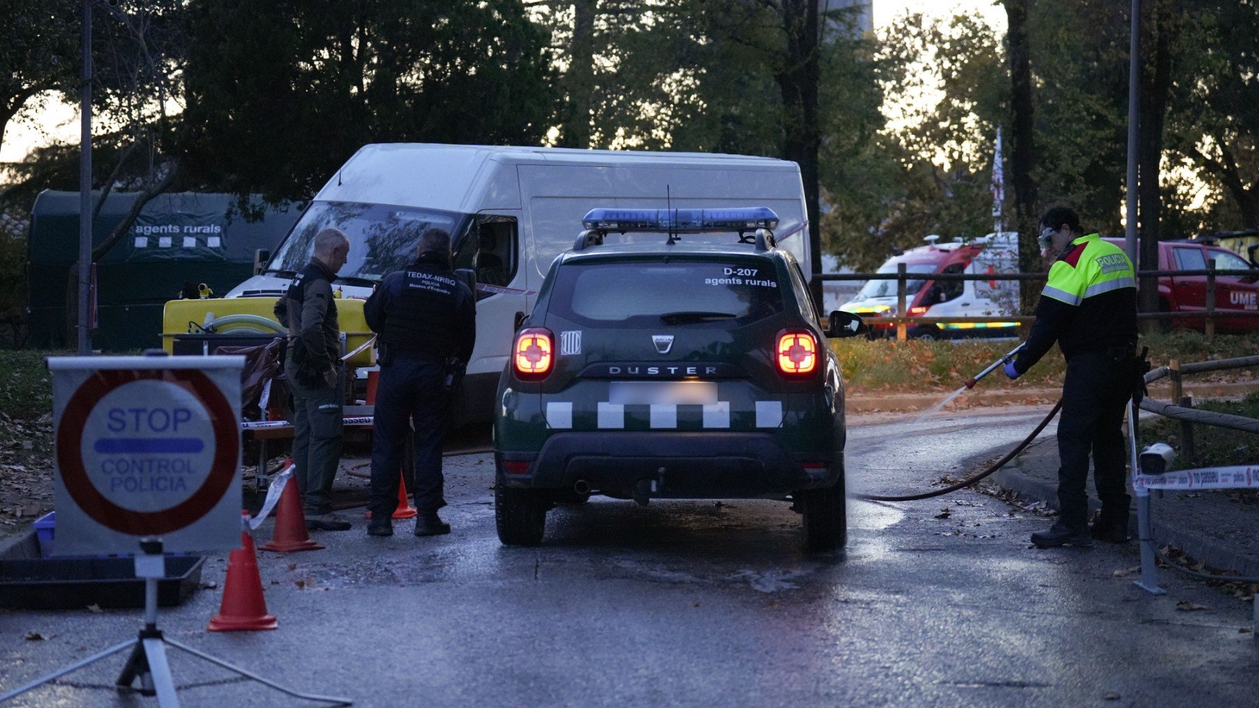 Confirmada la muerte de otros siete jabalíes por peste porcina africana en Cataluña