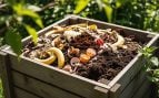 El compostaje doméstico es cada vez más popular entre quienes poseen un jardín o un huerto.