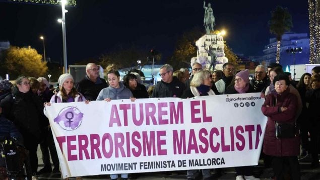 Palma violencia contra la mujer, Palma violencia de género