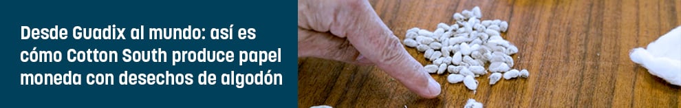Desde Guadix al mundo: así es cómo Cotton South produce papel moneda con desechos de algodón