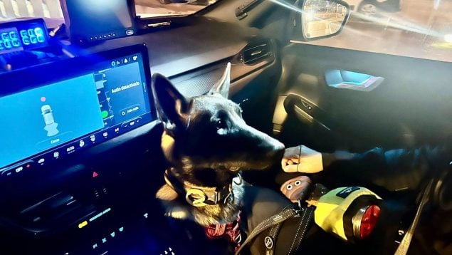 Policía Local Alcúdia tráfico