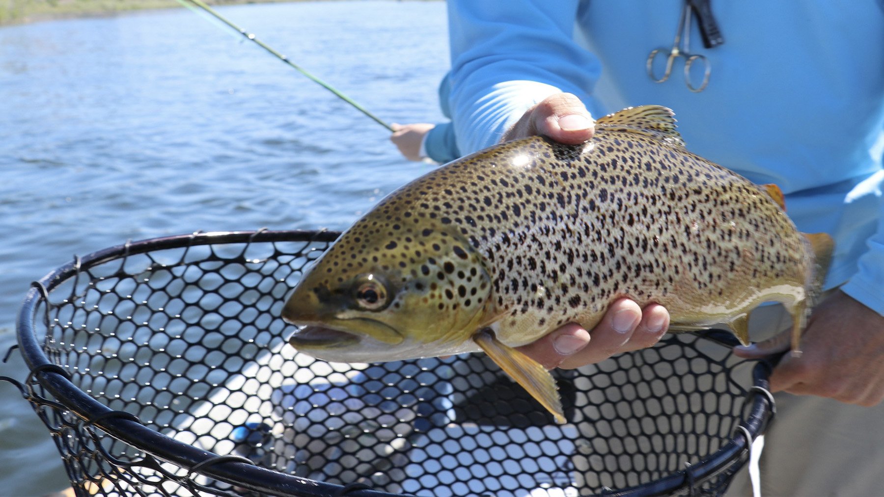 Este lago prehistórico es el paraíso de los pescadores: sacan truchas de 6 kilos que desafían toda lógica