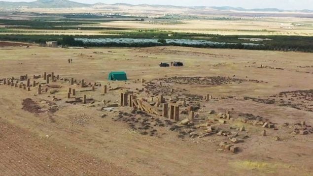 Aceite, Imperio romano, curiosidades, descubrimientos