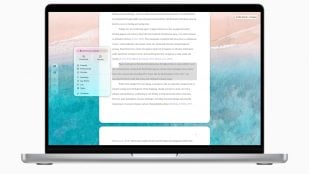 pp Store Awards 2025