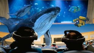 ballenas oceanogràfic