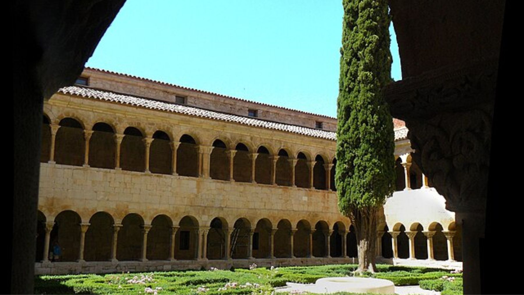 Pocos turistas lo saben, pero uno de los árboles más famosos del mundo está dentro de un monasterio de Burgos
