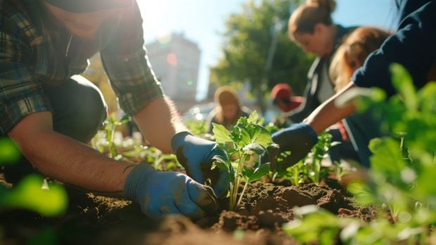 Gente practicando la horticultura urbana. Generado por IA.