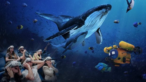 Inmersión Oceanogràfic