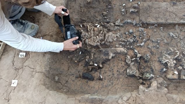Encuentran tesoro romano en Francia, hallazgo arqueológico de ajuar romano en Francia, arqueólogos encuentran yacimiento arqueológico en las obras de un edificio francés.