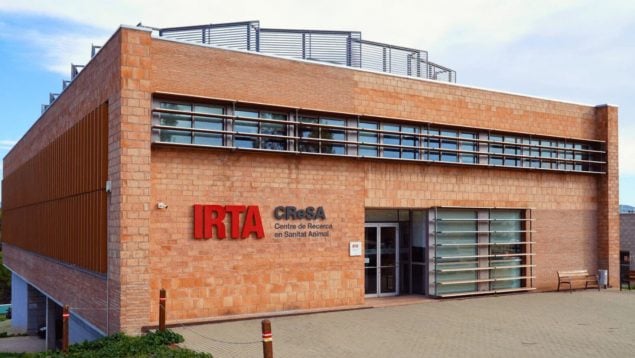 El laboratorio IRTA-CReSA, peste porcina