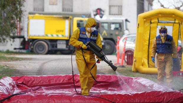 Peste porcina africana