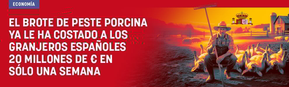 El brote de peste porcina ya le ha costado a los granjeros españoles 20 millones de € en sólo una semana