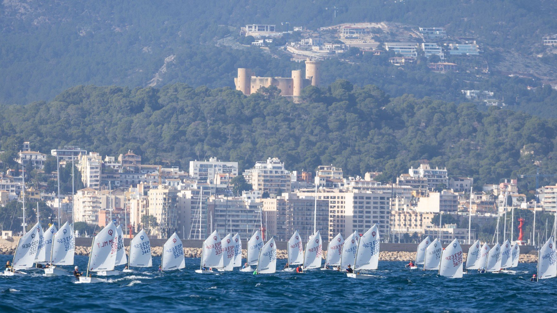 La flota navega con el Castillo de Bellver al fondo.