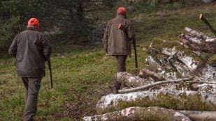 Refrán que nació en los cazadores españoles, refranero español, refranes de caza, refrán curioso en castellano, expresiones en español.