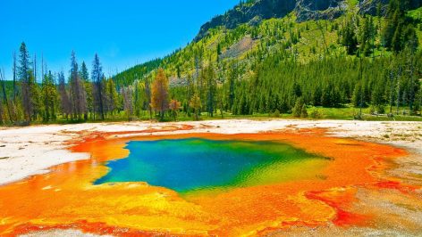 Yellowstone.