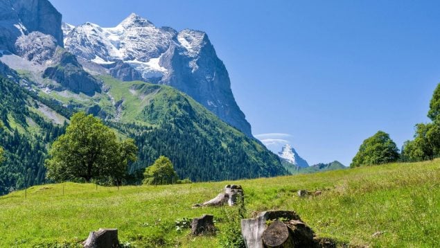 Restaurante en la Sierra de Madrid