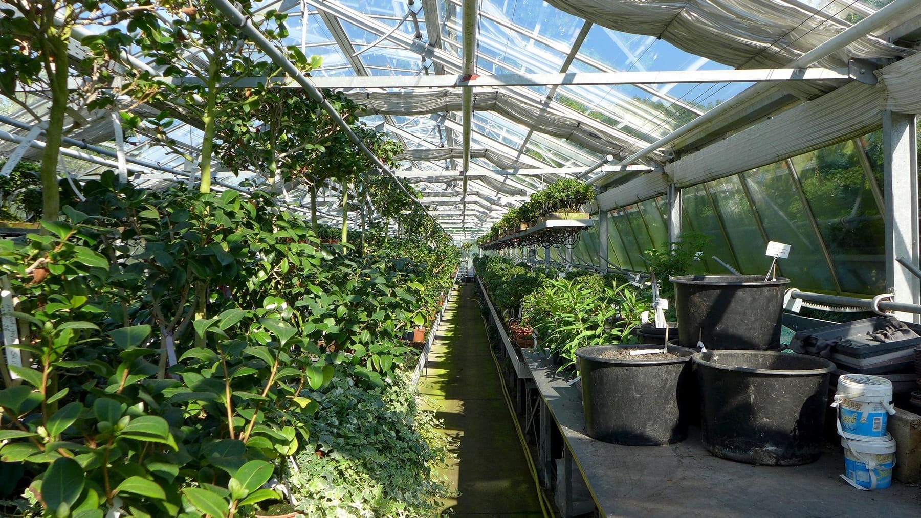Los agricultores de Almería ponen el grito en el cielo: Los españoles no quieren trabajar en este negocio