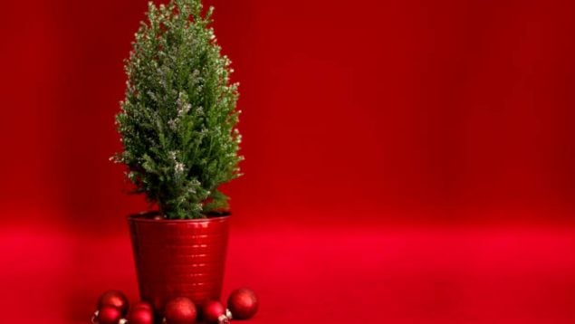 Lidl árbol de Navidad