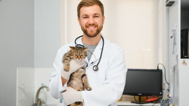 El aviso de un veterinario a los dueños de gatos: si hace este ruido ve corriendo al médico
