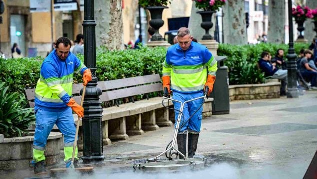 papelera palma, emaya