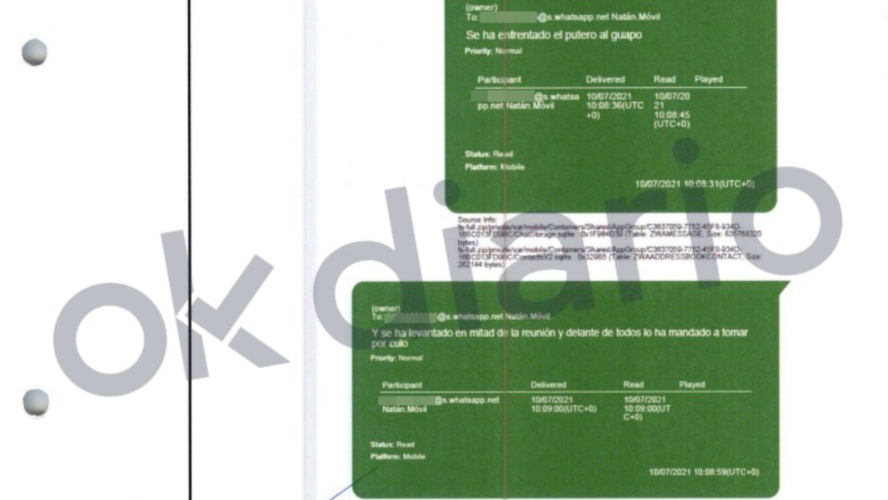 Extracto del informe de la UCO.