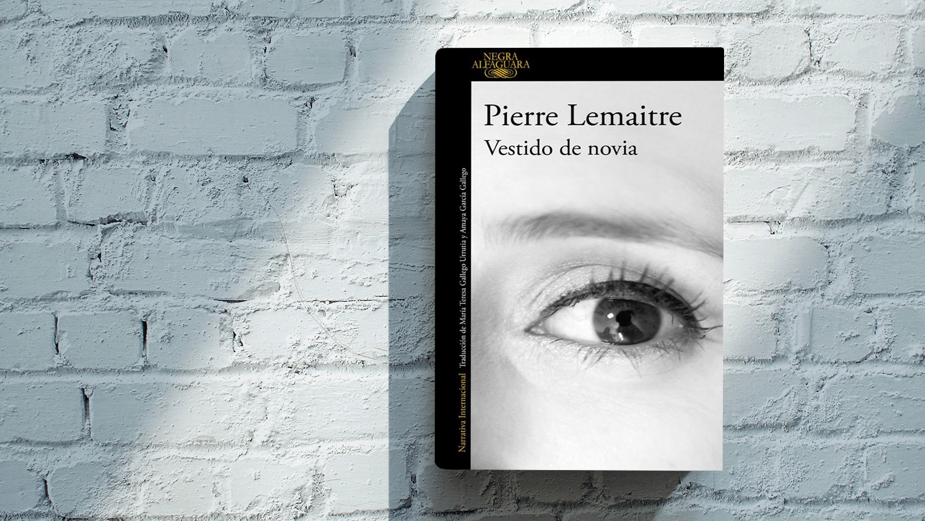 Libro ‘Vestido de novia’.