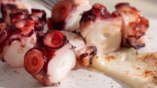 Pulpo, truco, truco de cocina