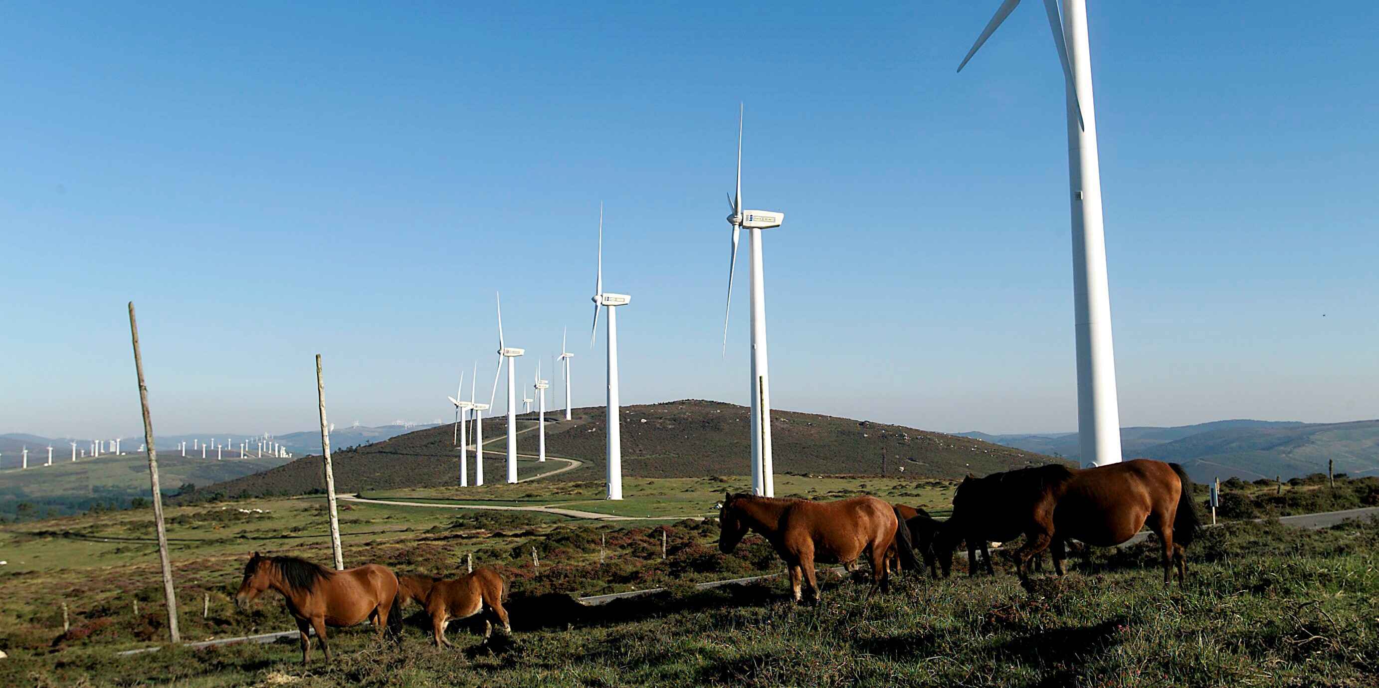 Endesa, la compañía que más ha contribuido a la reducción de emisiones de CO2 en los últimos 10 años