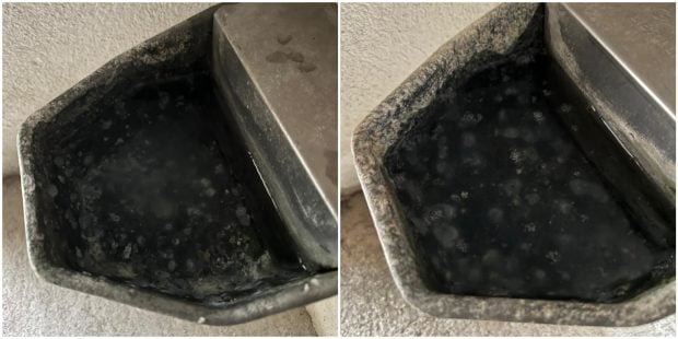 Bebederos, perreras, El Pardo, Guardia Civil